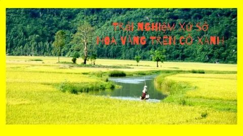 Chính sách đại lý của Hotspot Matrix: Cơ hội hợp tác bền vững trong ngành video ngắn_Video ngắn YouTube Shorts